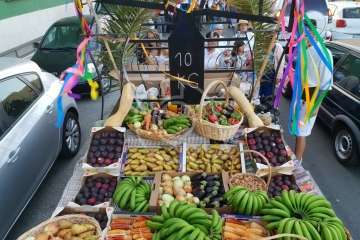 Romería popular en El Caracol (Foto Francisco Javier Santana)